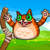 Angry Cat Shot